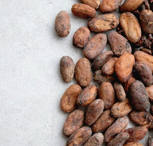 Cacao Workshop